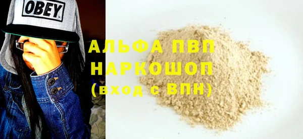 хмурый Арсеньев