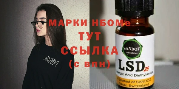 прущие грибы Аркадак