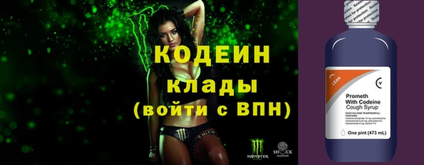 хмурый Арсеньев