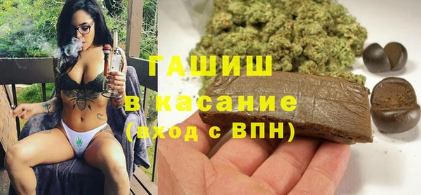 хмурый Арсеньев