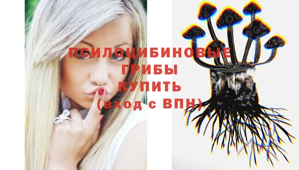 хмурый Арсеньев
