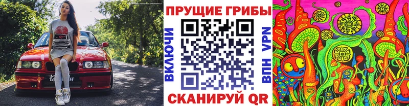 Галлюциногенные грибы мухоморы  гидра ссылка  Нижние Серги 